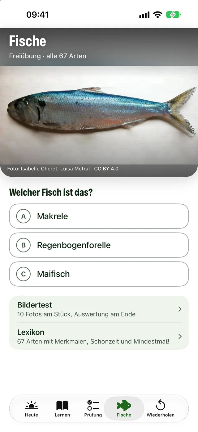 Bildertest: Foto mit drei Namen zur Wahl